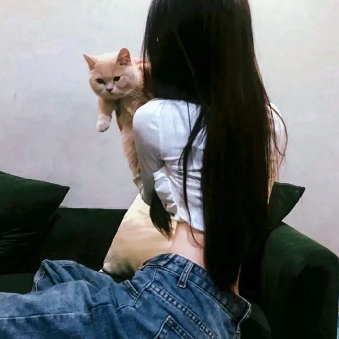我的拳王男友